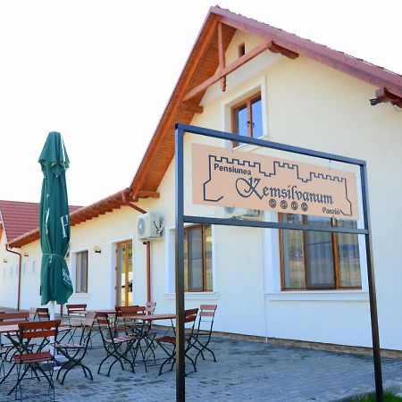 Pensiunea Kemsilvanum Fort Silvan Camar Exterior foto