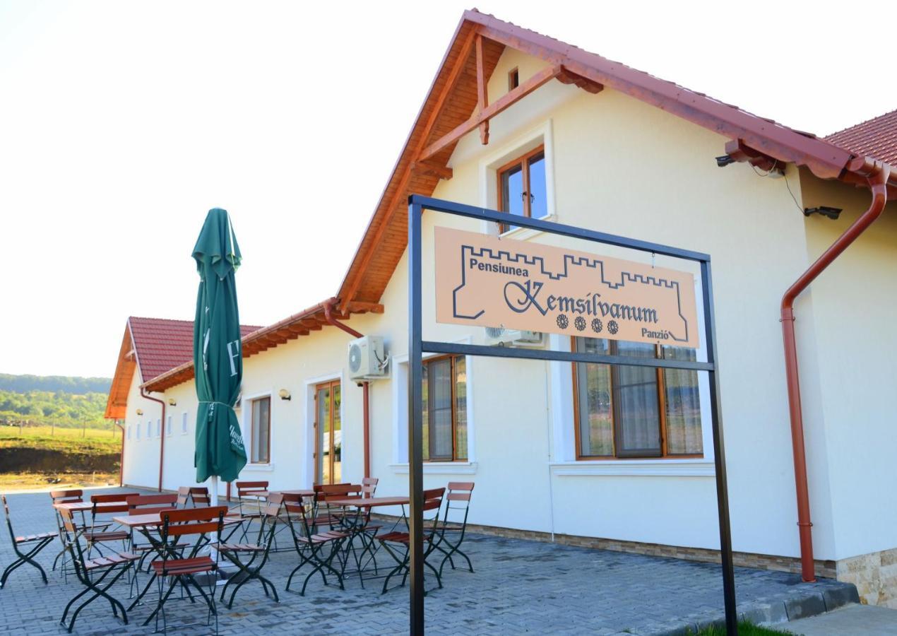 Pensiunea Kemsilvanum Fort Silvan Camar Exterior foto
