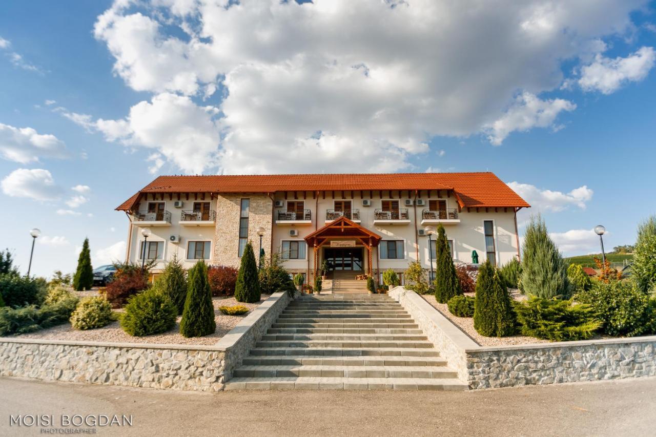 Pensiunea Kemsilvanum Fort Silvan Camar Exterior foto