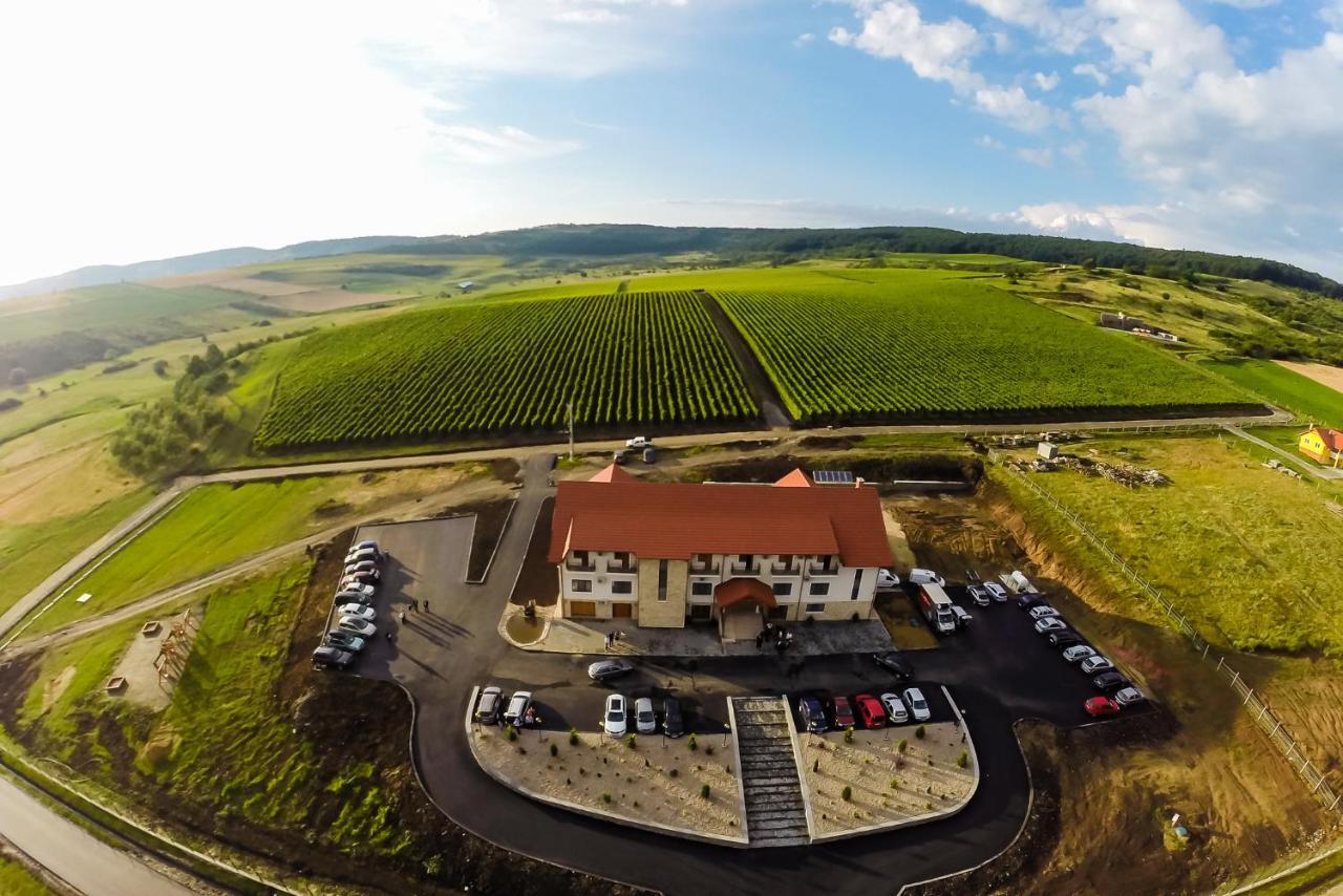 Pensiunea Kemsilvanum Fort Silvan Camar Exterior foto