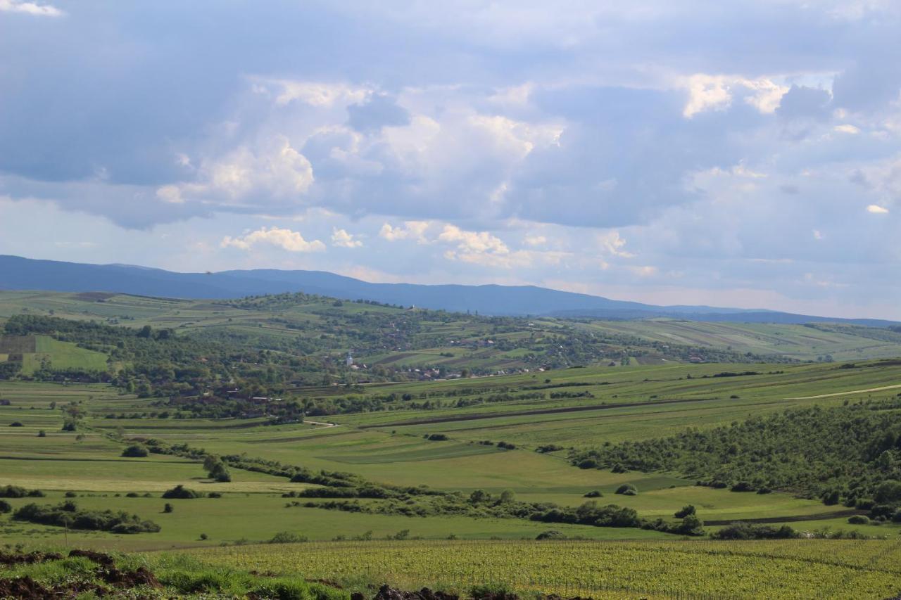Pensiunea Kemsilvanum Fort Silvan Camar Exterior foto